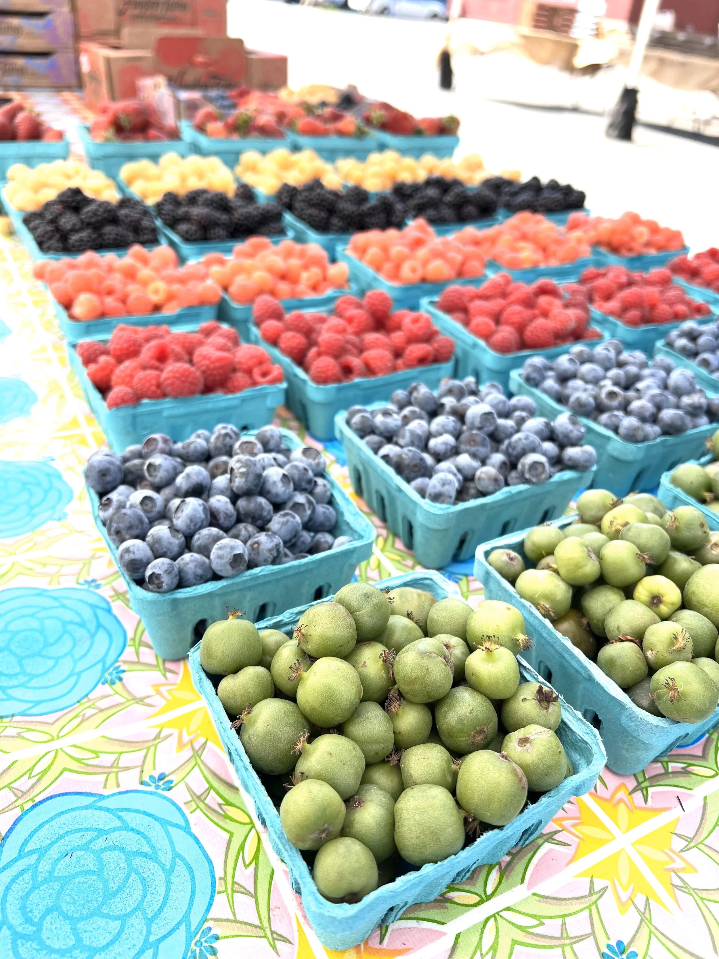 Hayton Farms Berries Plans Carefully for a Diverse Berry Business