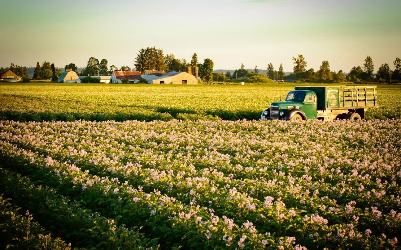 080-potato field and Nelson Inc tater truck - courtesy DoubleN.jpg