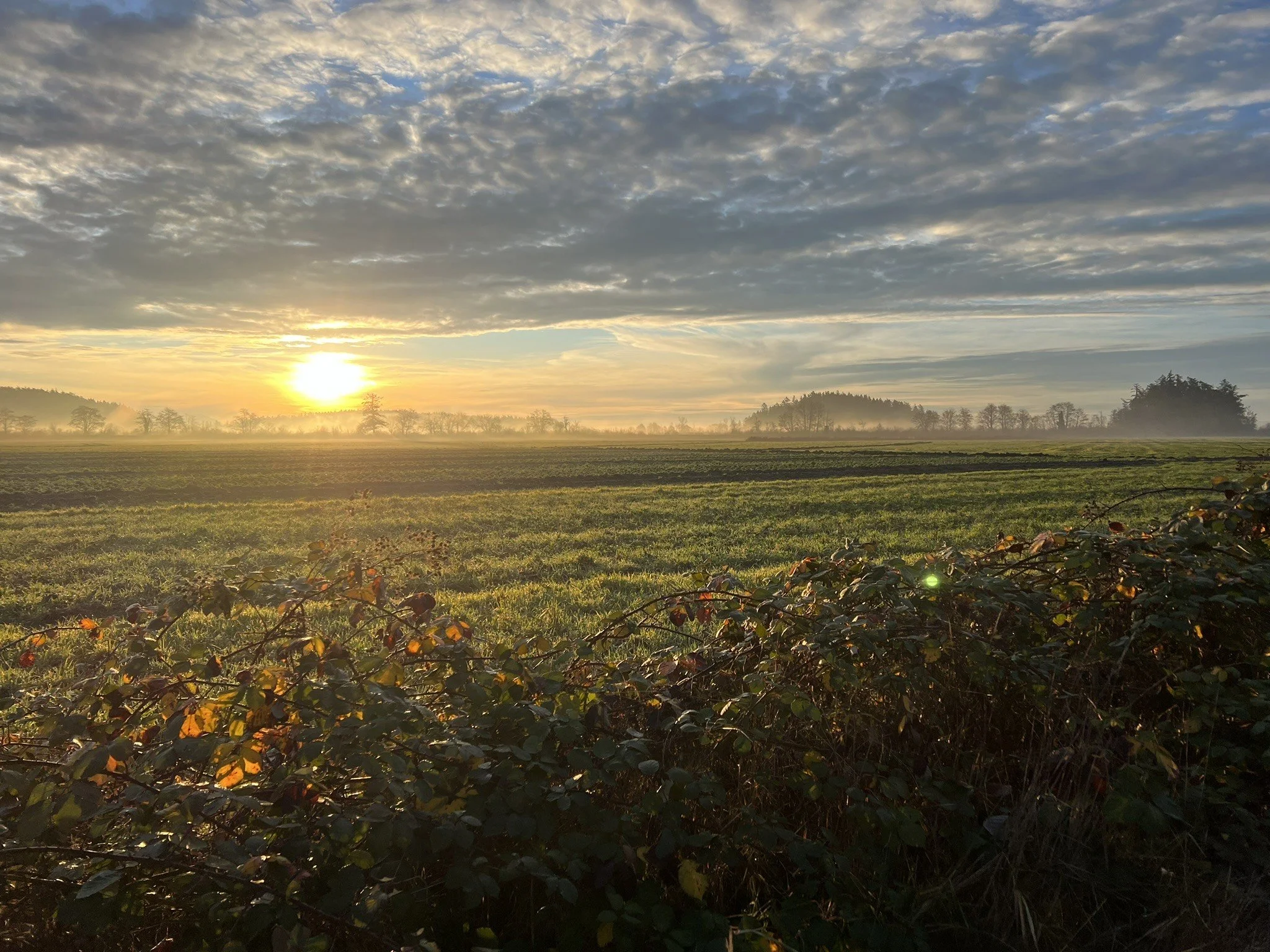 Securing a Legacy Through Careful Succession Planning