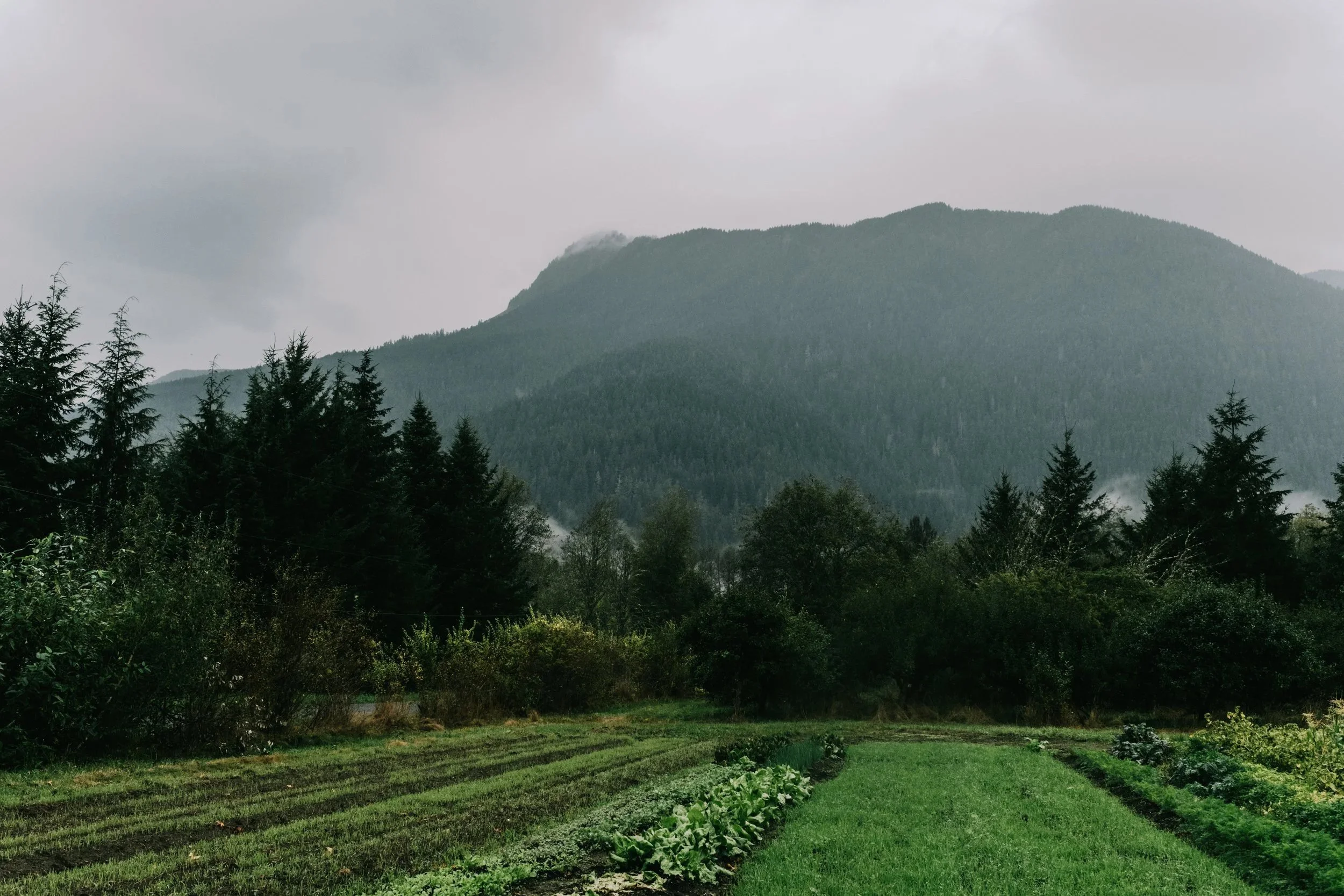 Growing Community Upriver at Long Hearing Farm