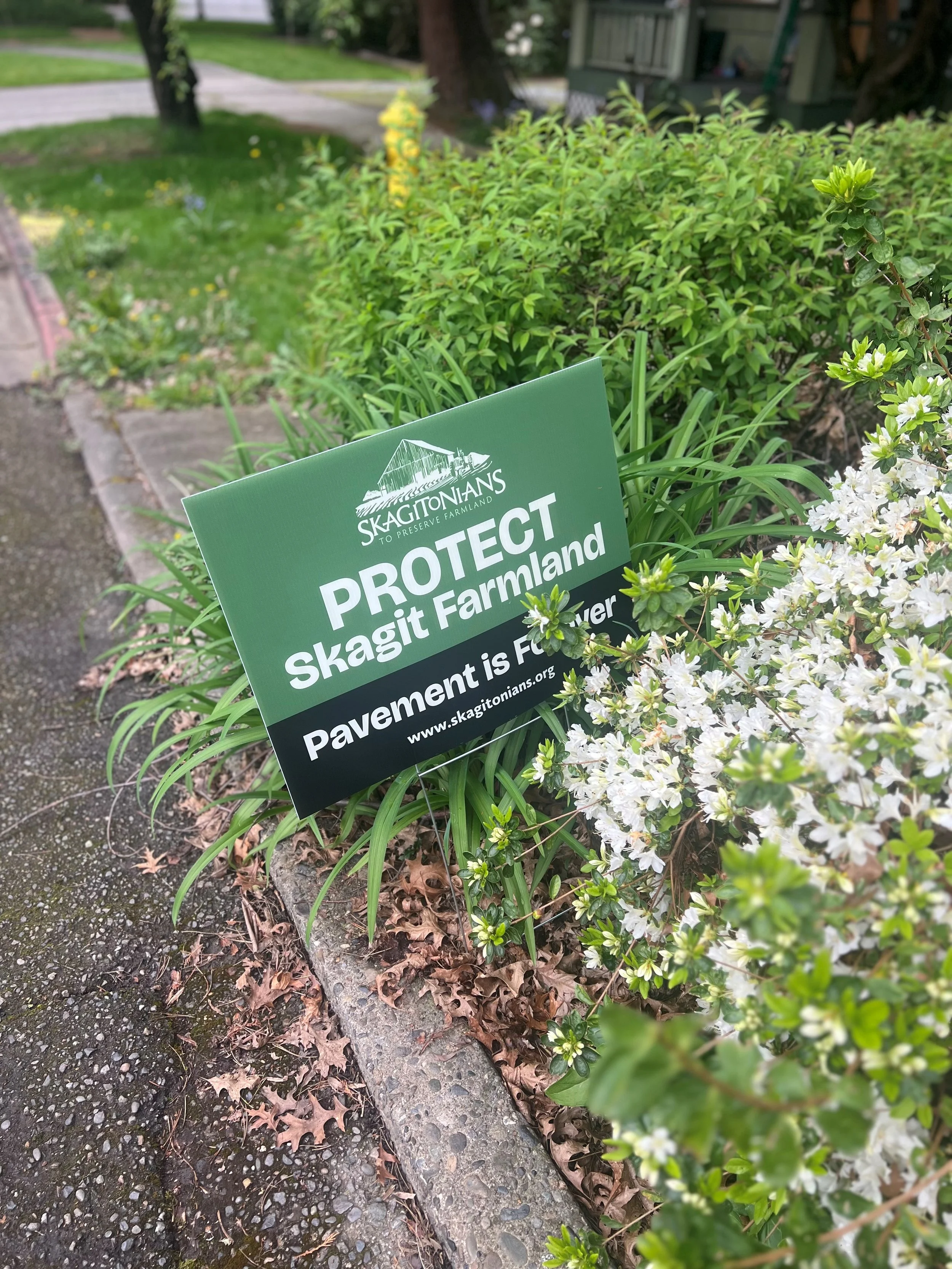 Skagit Yard Sign in the wild 1.jpg