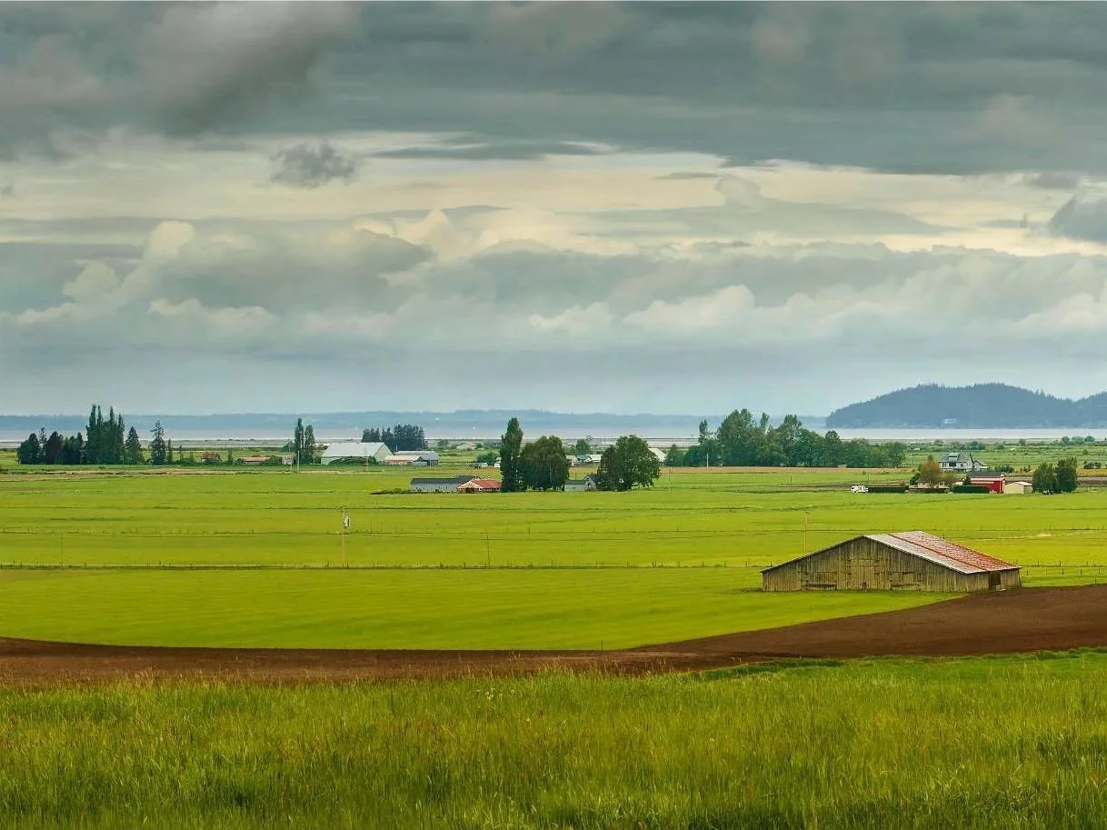 The Skagit River Dams Settlement Agreement: What's at Stake for Skagit Agriculture