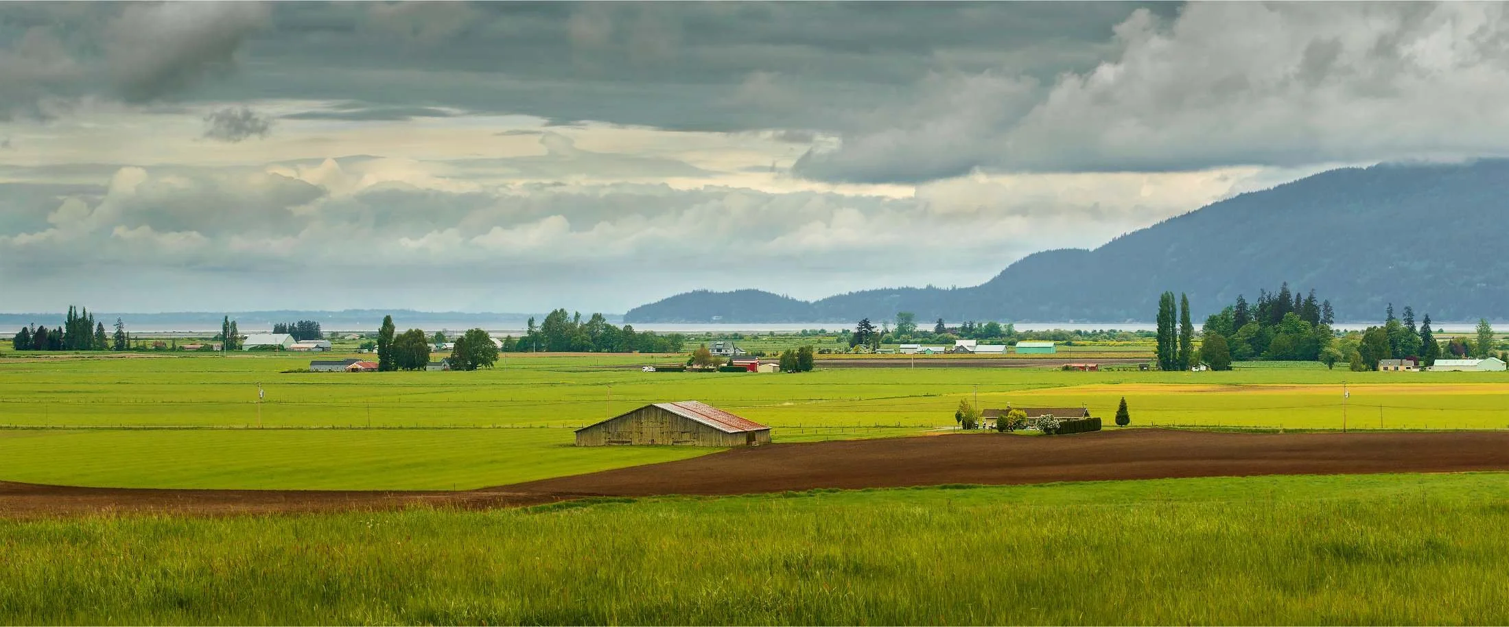 Canva Cover #1.jpg