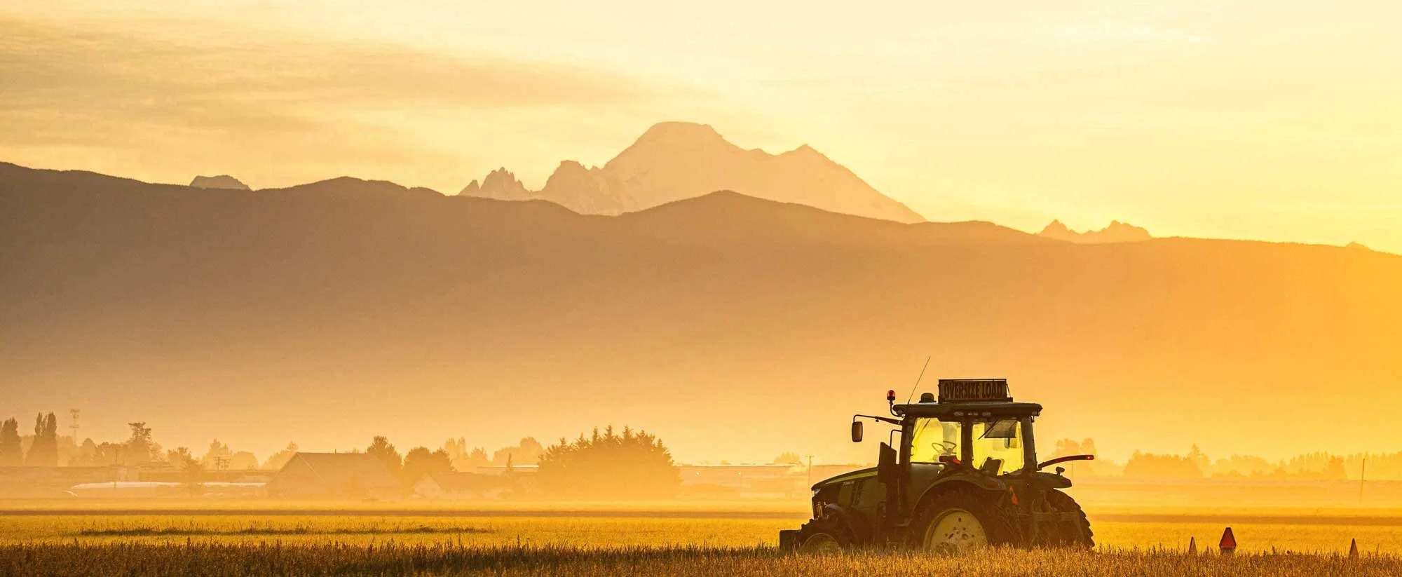 Skagitonians-2-web-banner.jpg