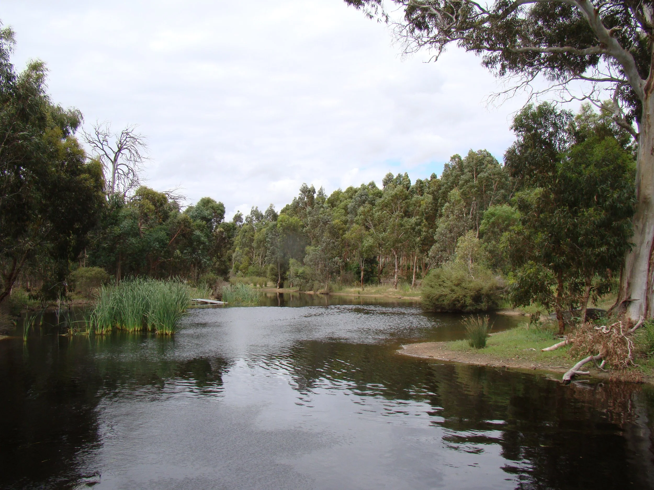 wet lands.JPG