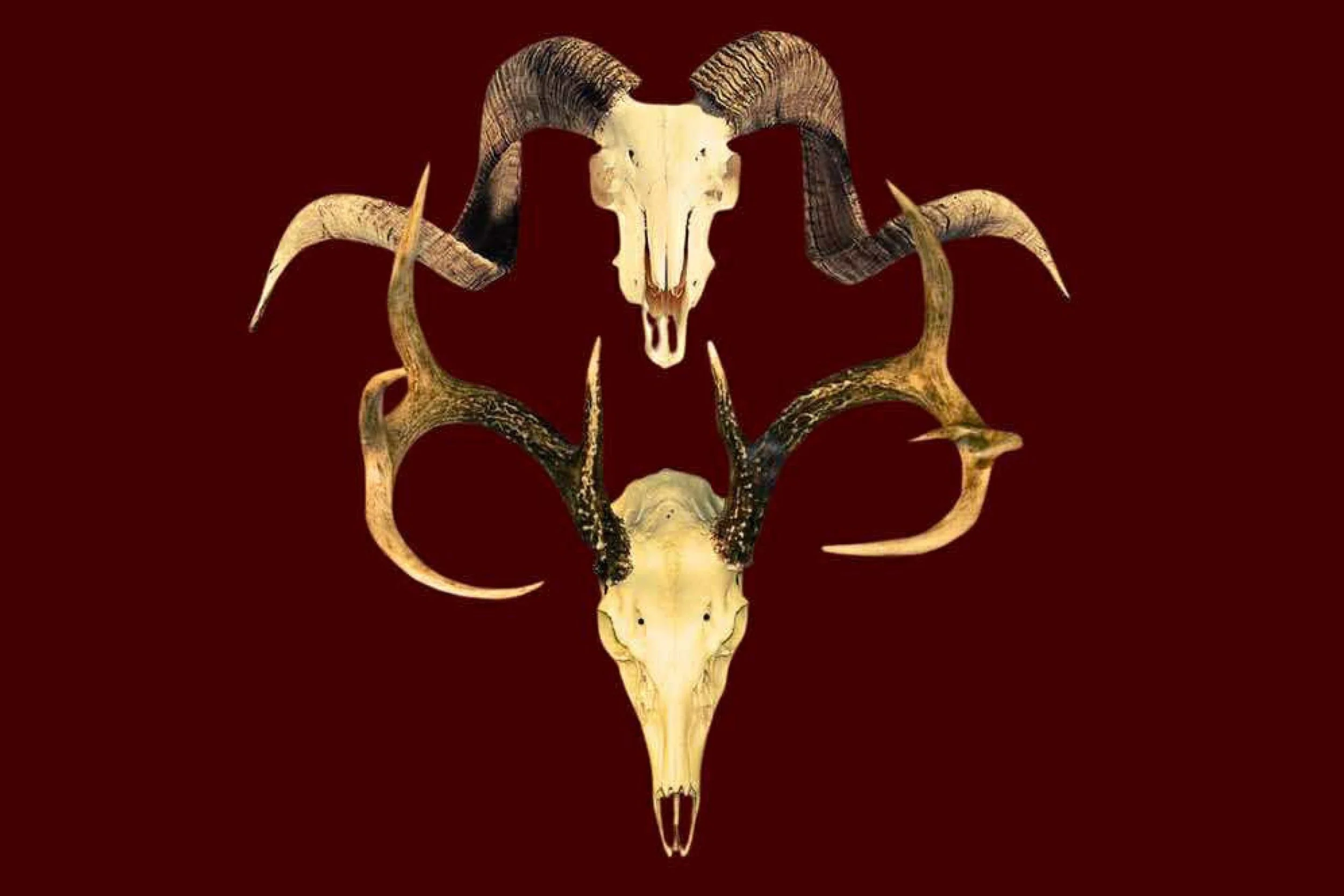 Two Cents: A Lie of the Mind (Light The Torch)