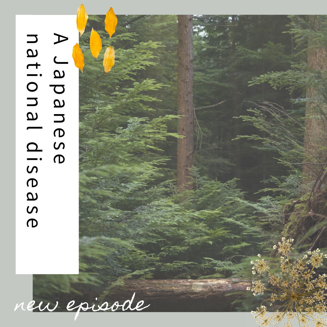 65_A Japanese national disease_日本人(にほんじん)の国民病(こくみんびょう)