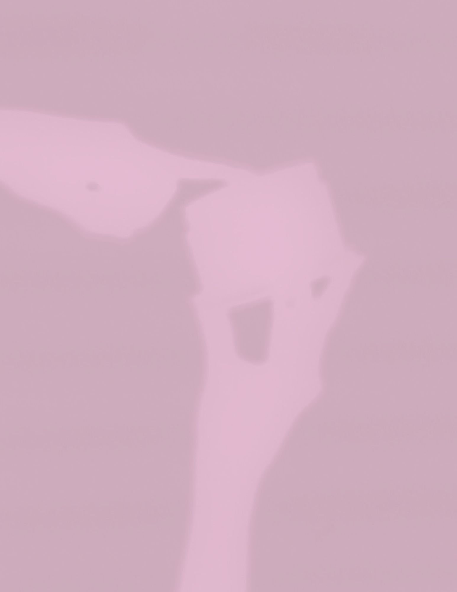 RESET CLEANSER (COMING SOON) 6/XX