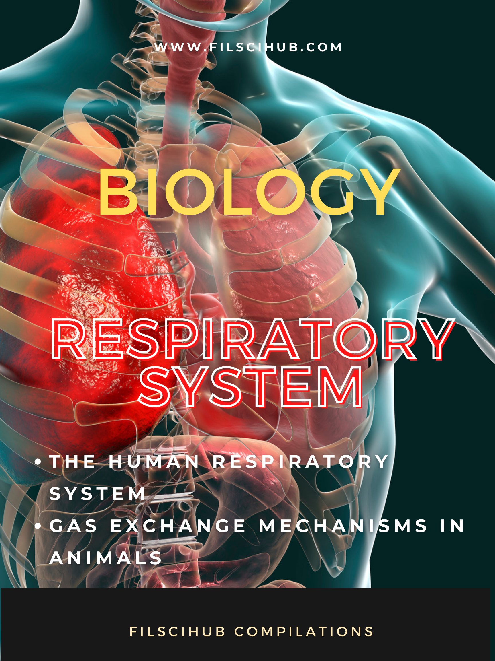 BIOLOGY MODULE] The Human Respiratory System, the Respiration Process, and  Gas Exchange Mechanisms in Animals — Filipino Science Hub
