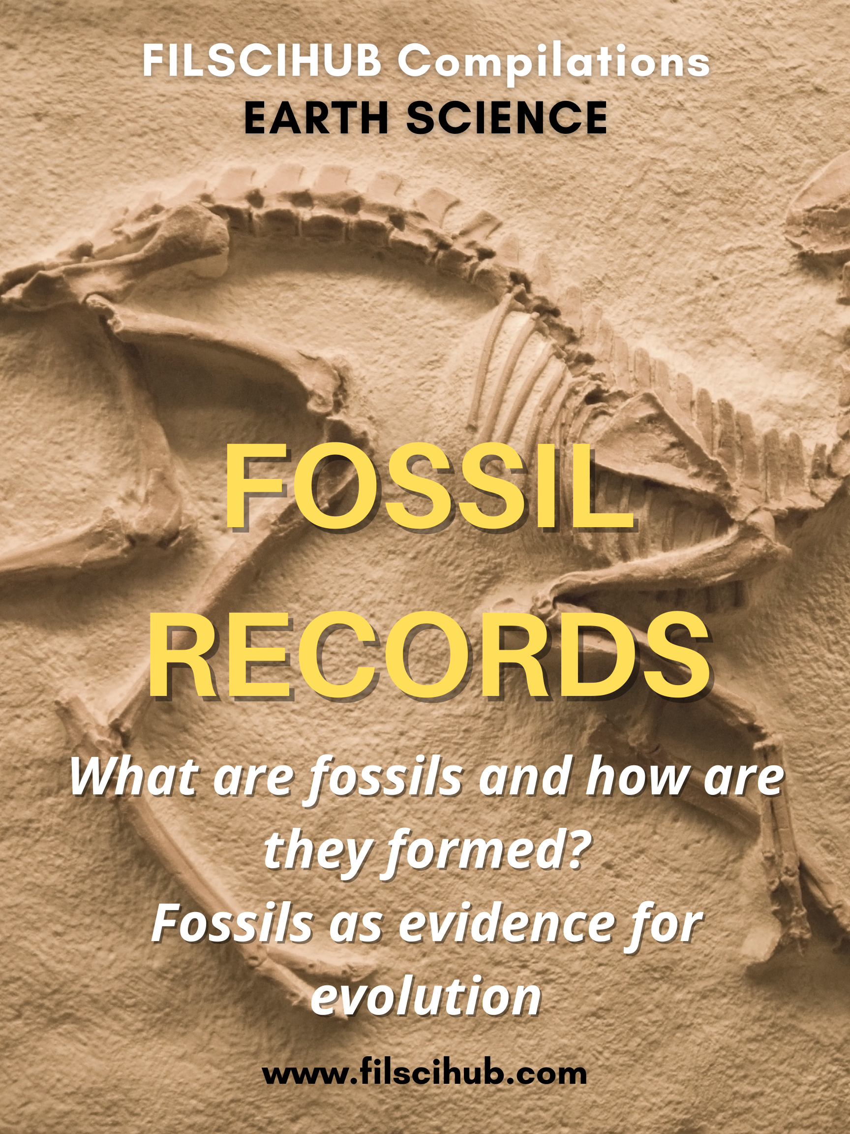 [EARTH SCIENCE] Fossil Records