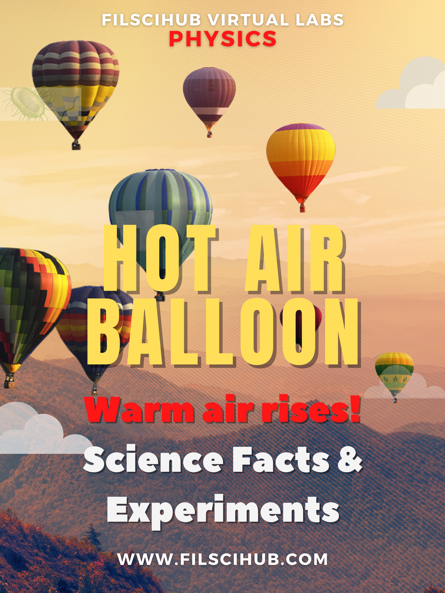 [PHYSICS MODULE] Hot Air Balloon: Warm Air Rises! — Filipino Science Hub