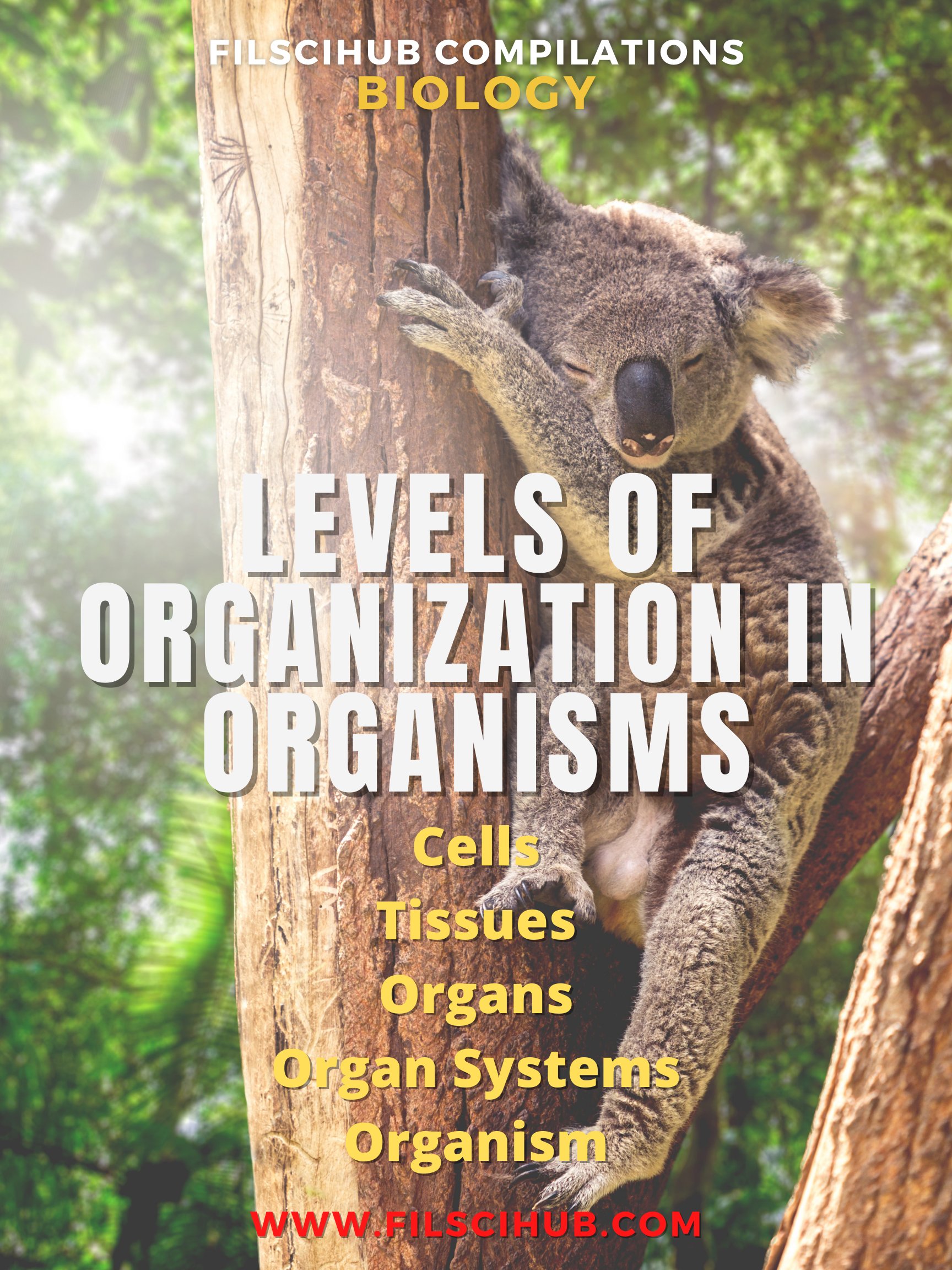 [BIOLOGY MODULE] Levels of Organization in Organisms — Filipino Science Hub