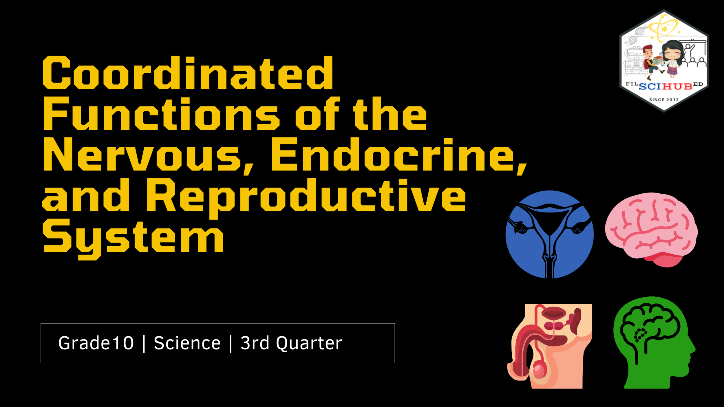 [BIOLOGY PROBLEMS] Coordinated Functions of the Nervous, Endocrine, and Reproductive System - ANSWER KEY