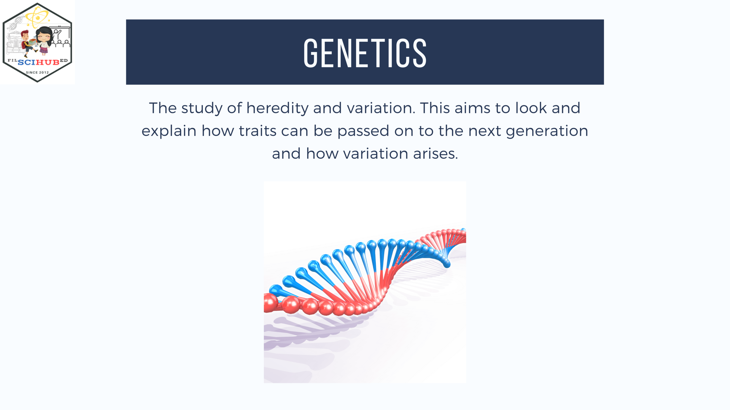 [BIOLOGY] Genetics &amp; Chromosomes