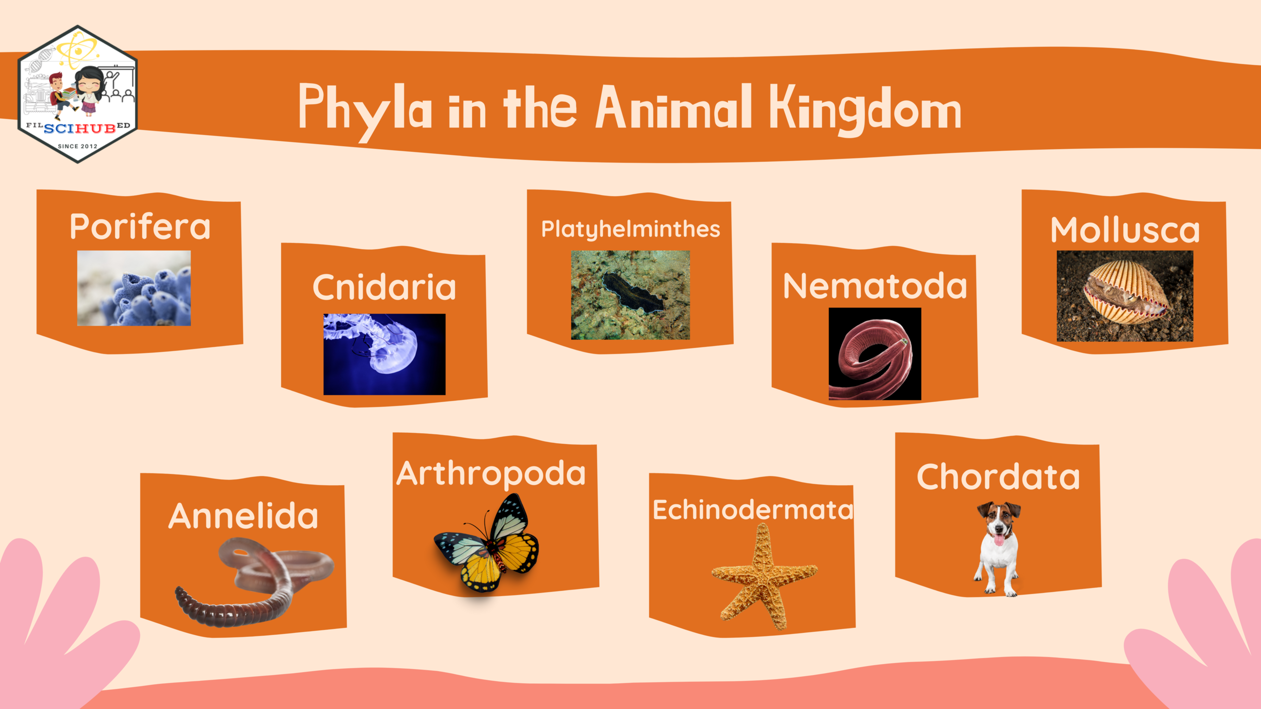 BIOLOGY] Levels of Classification: Phylum, Class, Order, Family, Genus,  Species — Filipino Science Hub