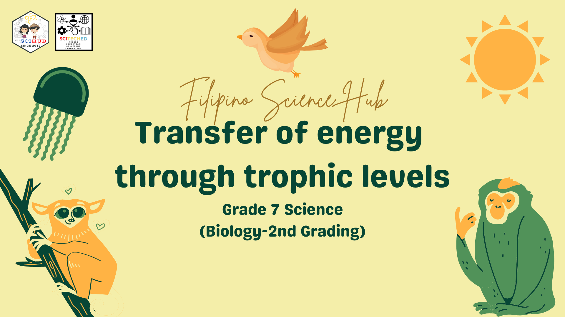 GRADE 7 BIOLOGY: Transfer of energy through trophic levels - Mini-Discussion, Assessment Sheets &amp; Teaching Guide