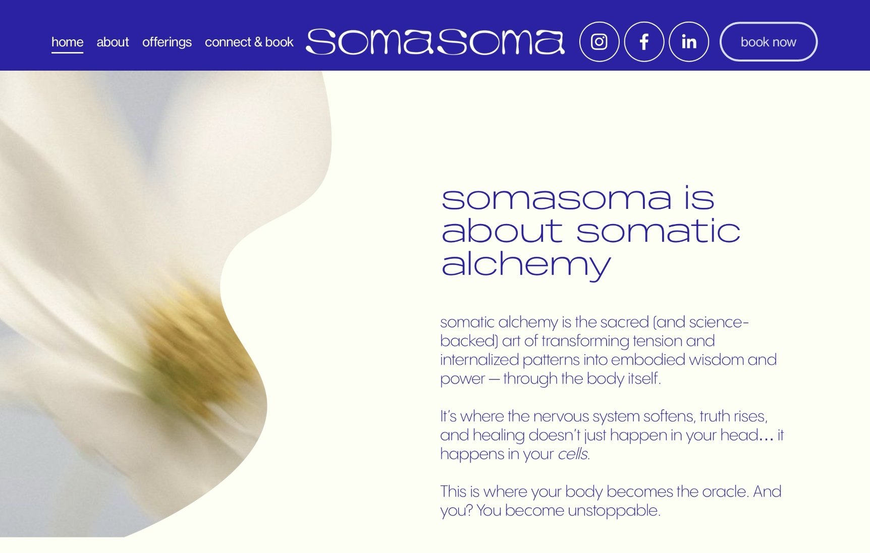 Somasoma<span>Wellness</span>