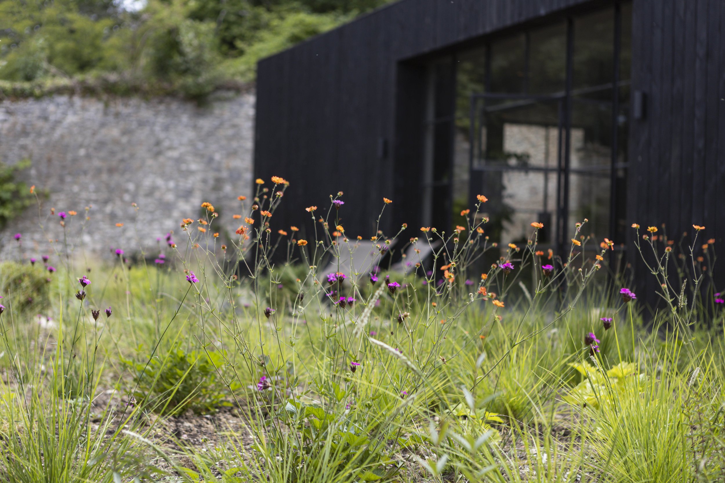  Naturalistic planting designed with wildlife in mind 