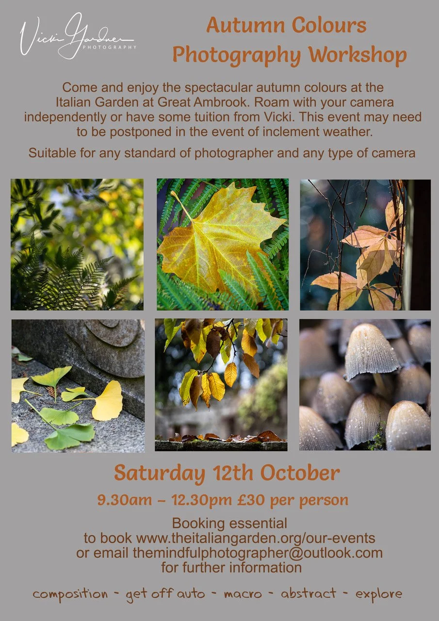 Autumn Colours Photography Workshop - 12 October 2024