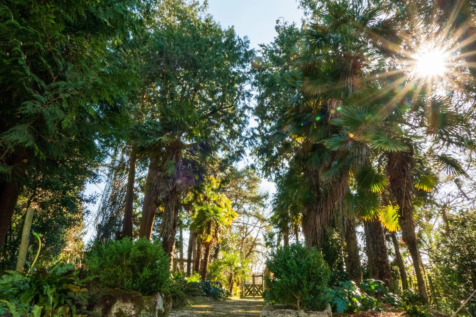 Tree Tour  - 24 May 2026