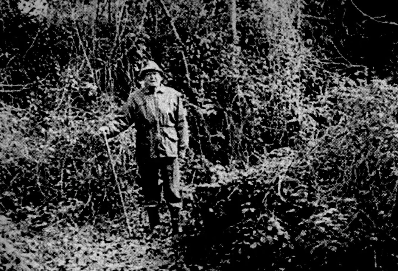 A secret garden uncovered - Ken and Doris Rees — The Italian Garden ...