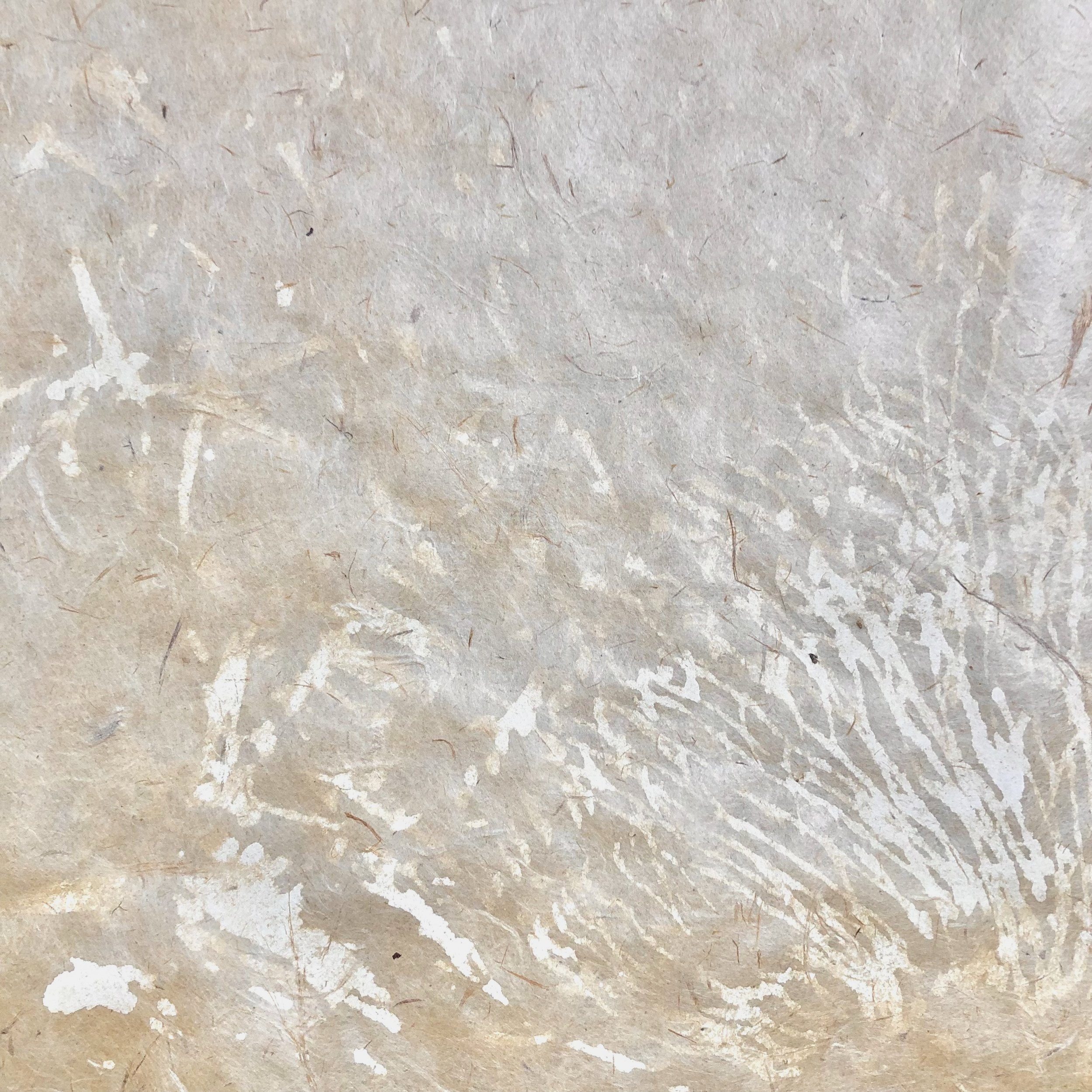 'The Flight of the Iridescent Winged Insect' (detail), tempera on paper