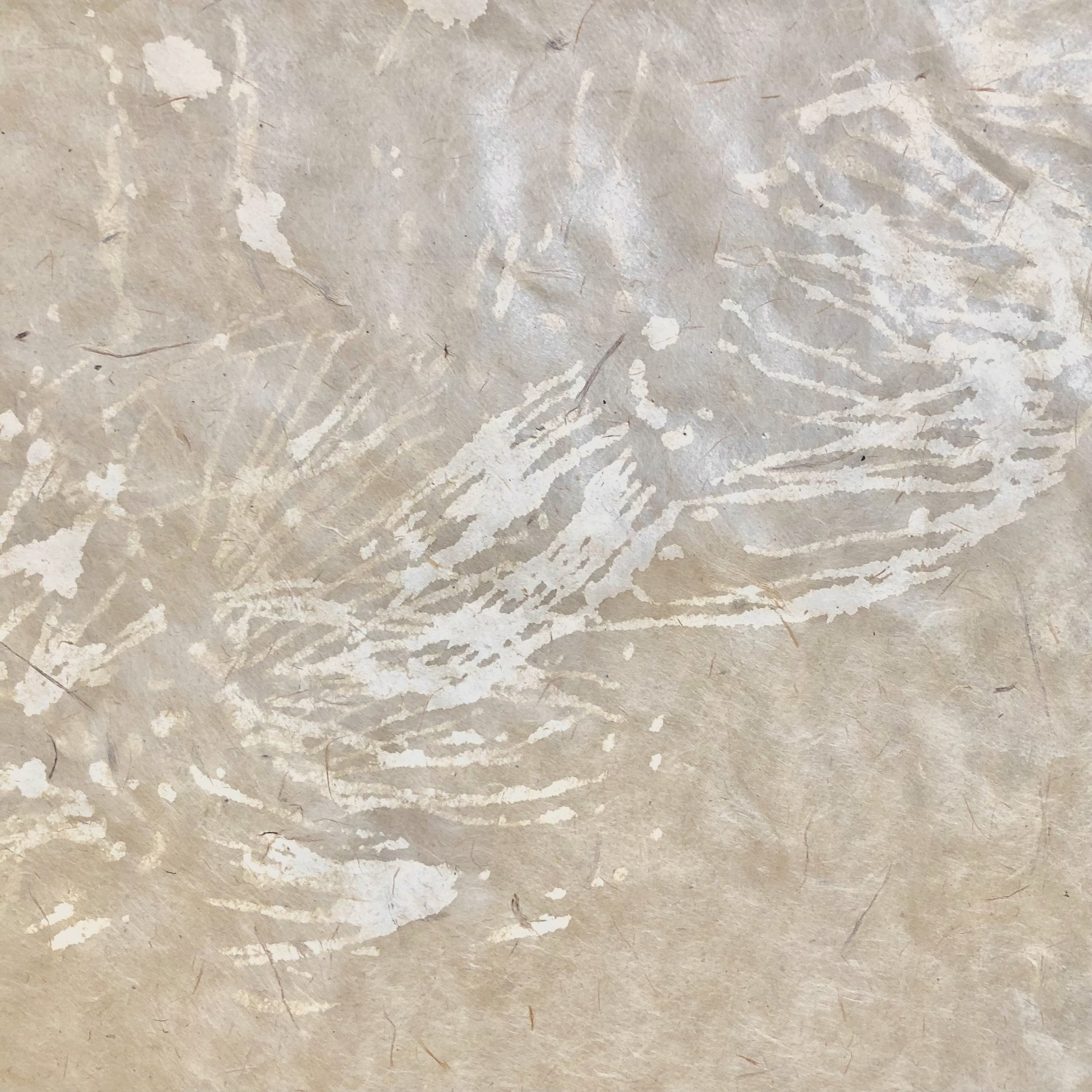 'The Flight of the Iridescent Winged Insect', (detail I), tempera on paper