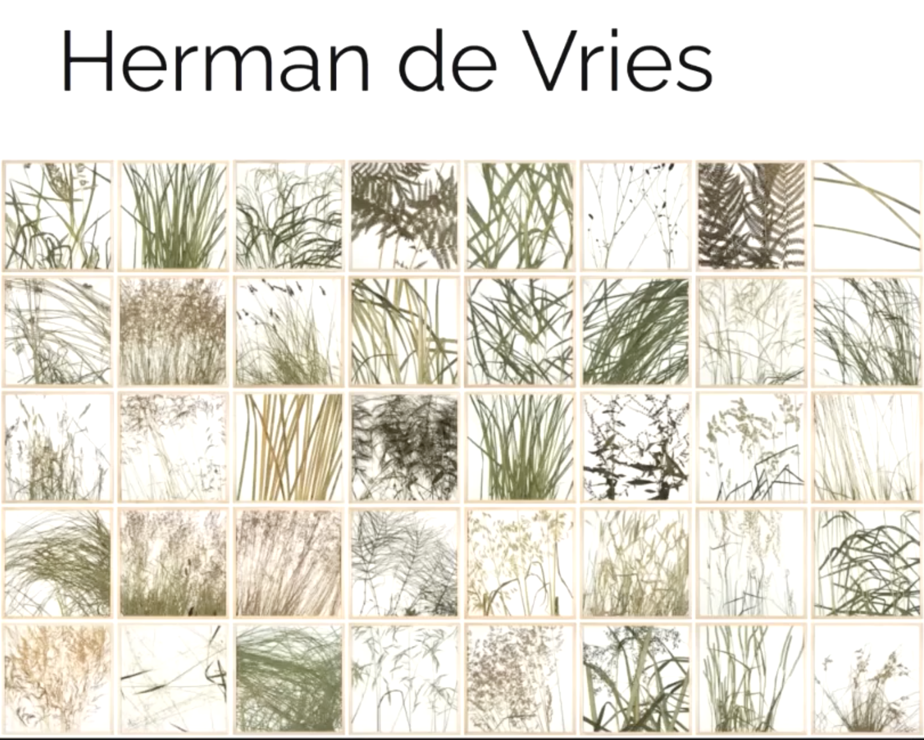 ONLINE course - Drawing and mindfulness: modern and contemporary nature  