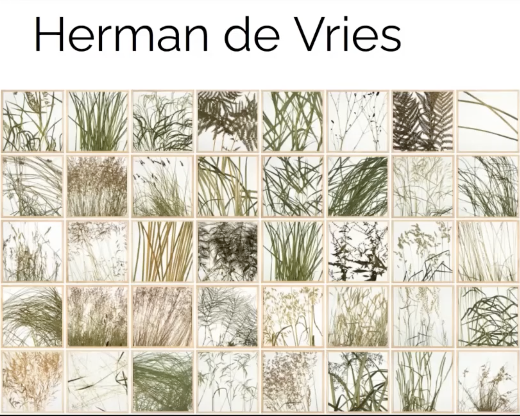 ONLINE course - Drawing and mindfulness: modern and contemporary nature  