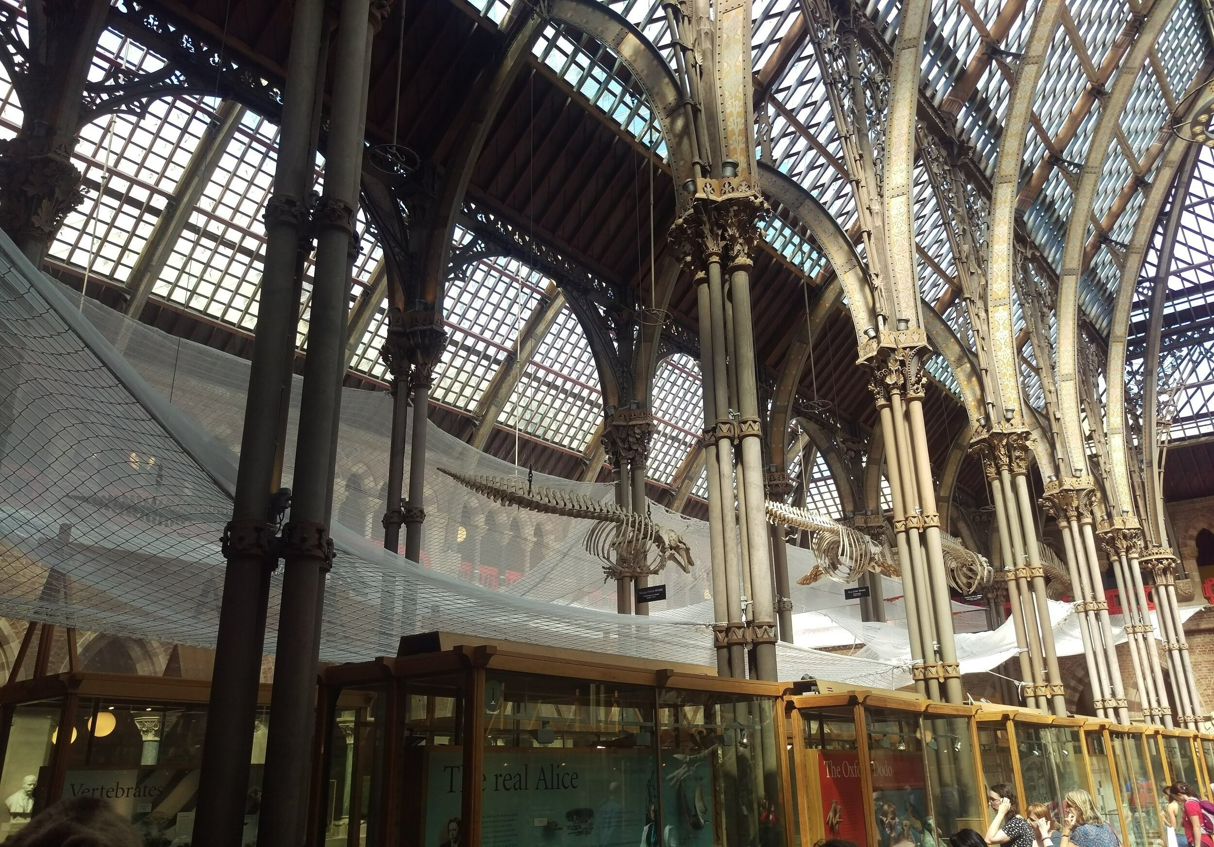 Oxford University Natural History Museum - Roof Repairs