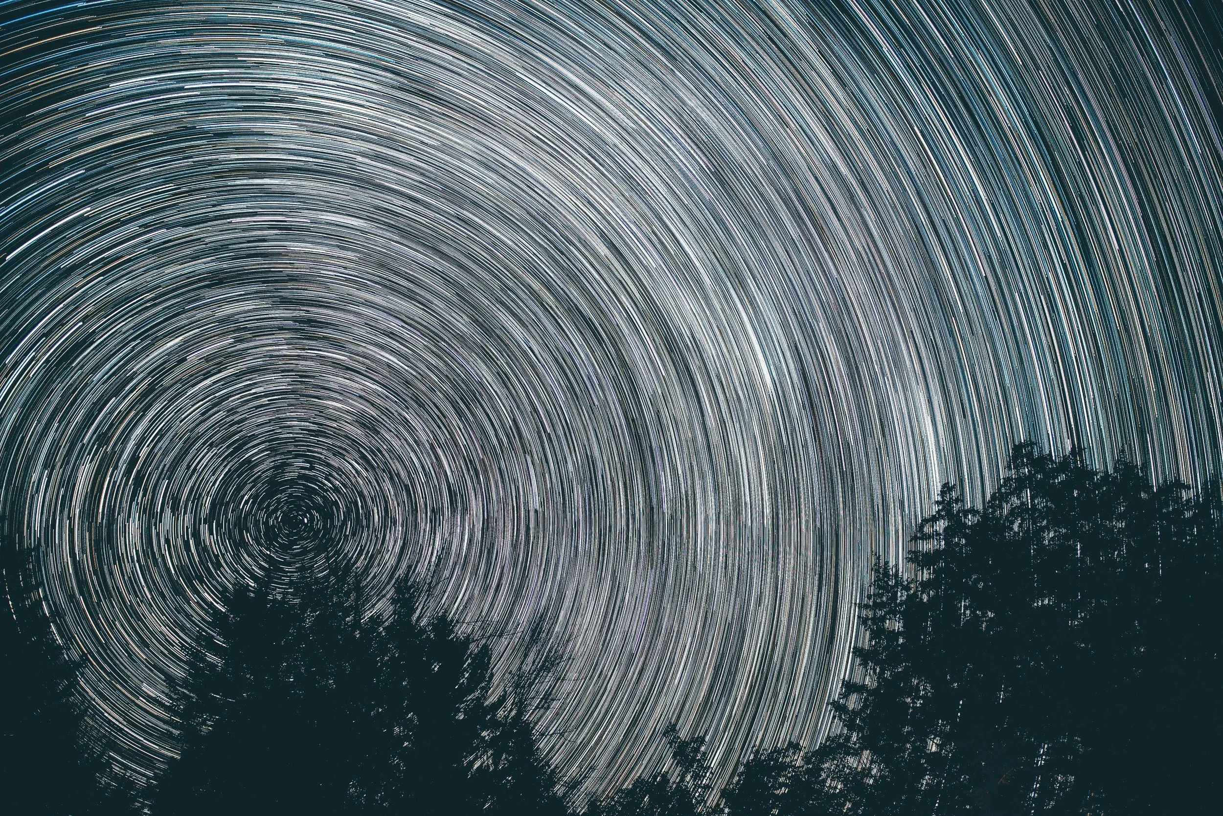 pexels-harrisonhaines-3536506.jpg