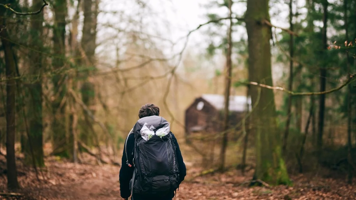 afgelegen huisje huren in het bos