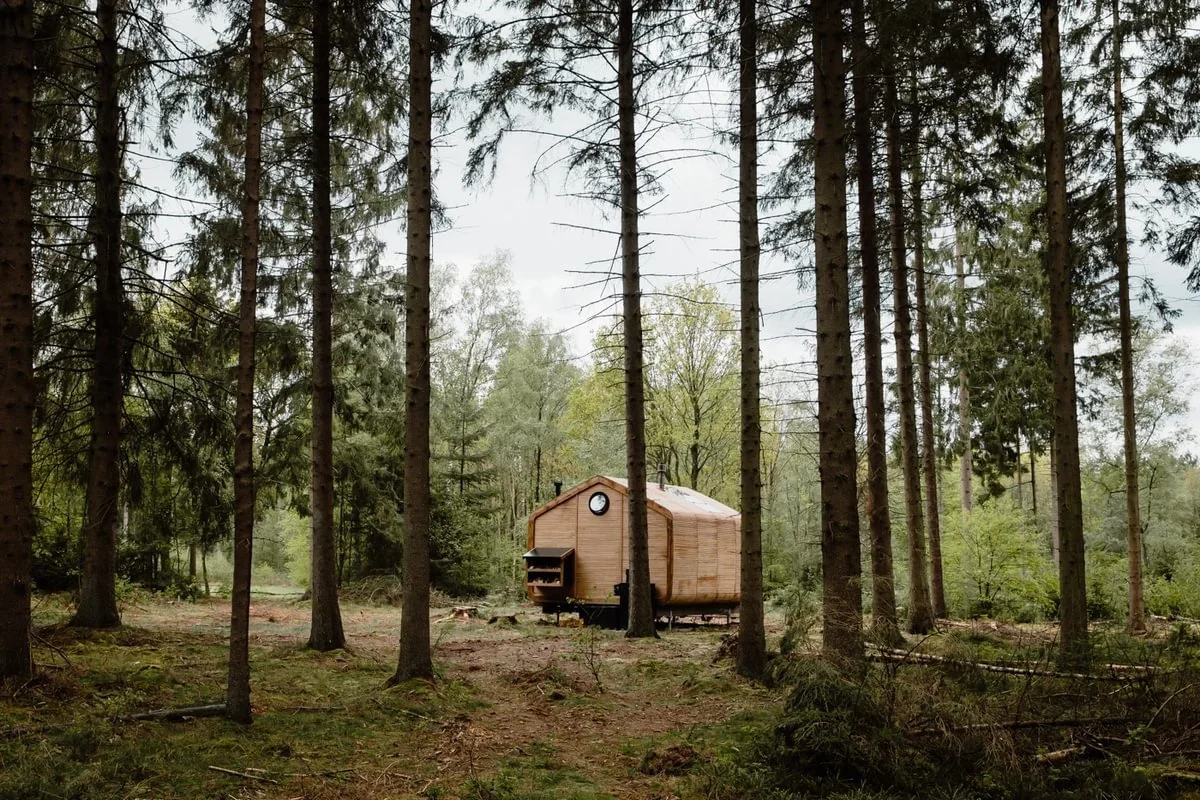 afgelegen huisje in bos