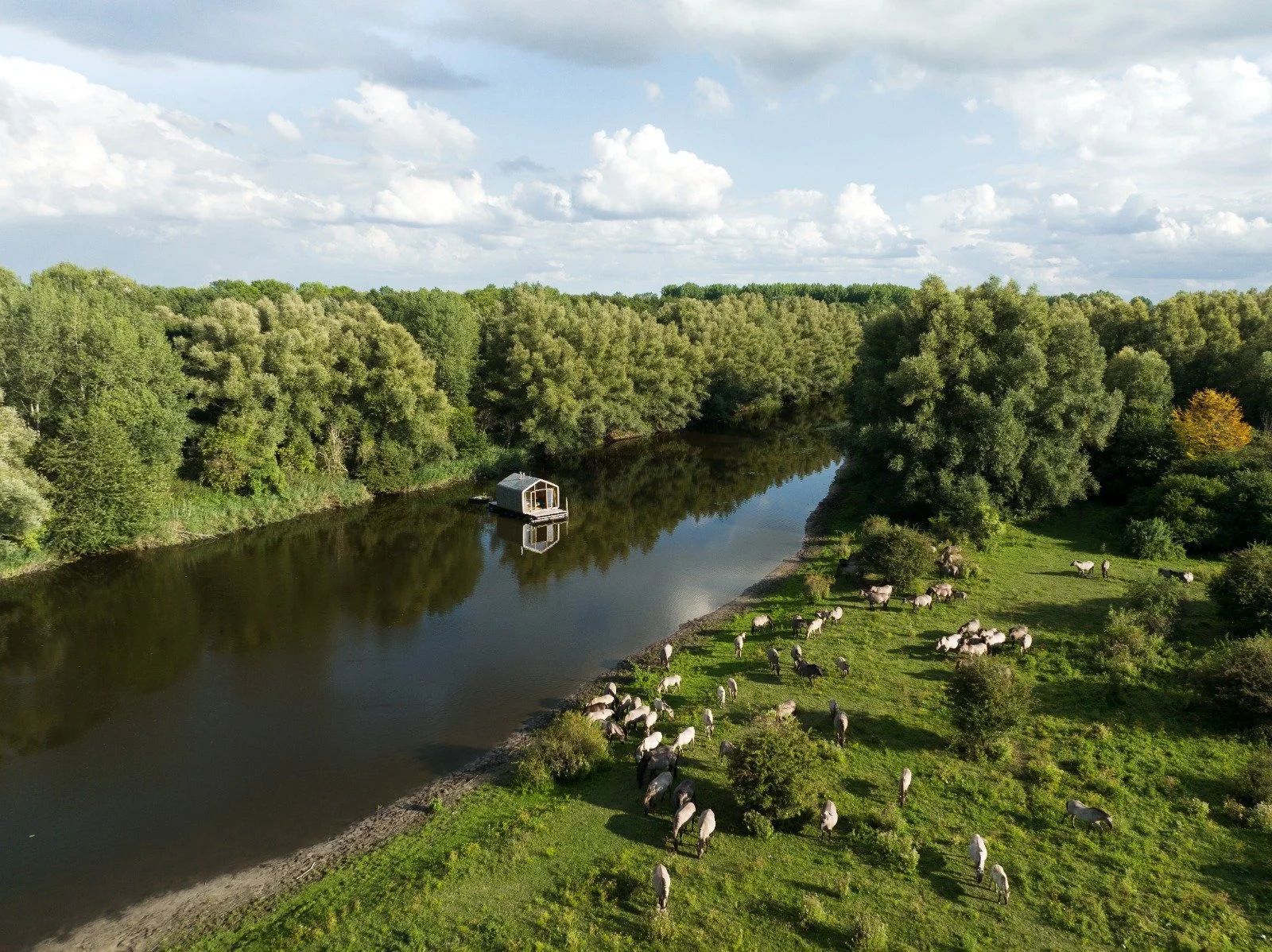 WhatsApp Image 2022-09-12 at 11.09.40 AM.jpeg