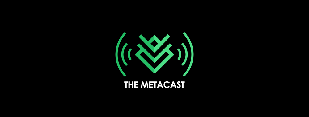 Netfix The Metacast