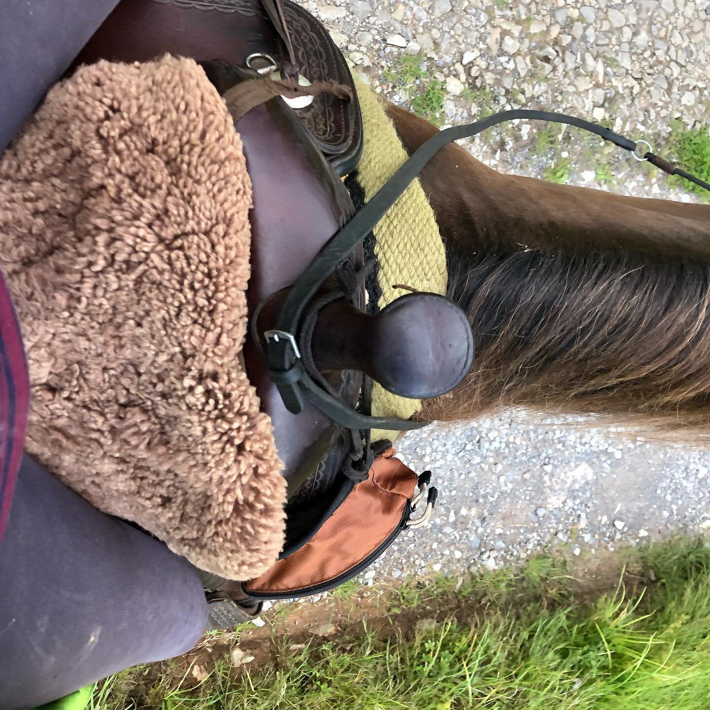 What I see when I ride. 

#horseriding 
#westernsaddle 
#spiritofthehorse