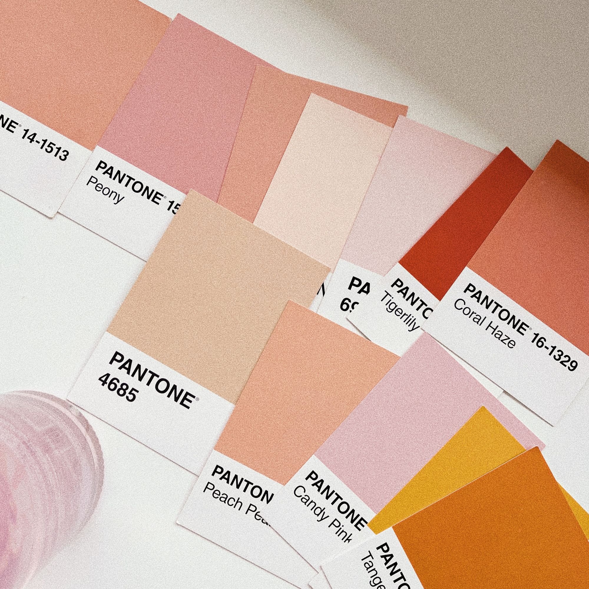 7 Feminine Brand Color Palettes to Inspire Your Women-Led Business
