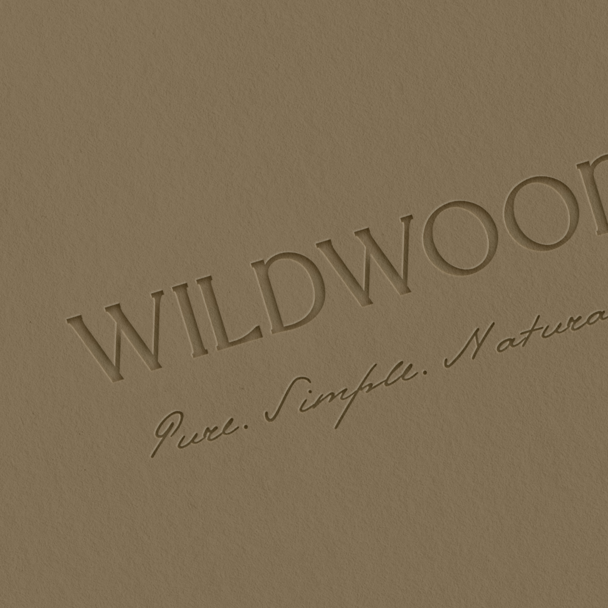 Primary Logo (2).png