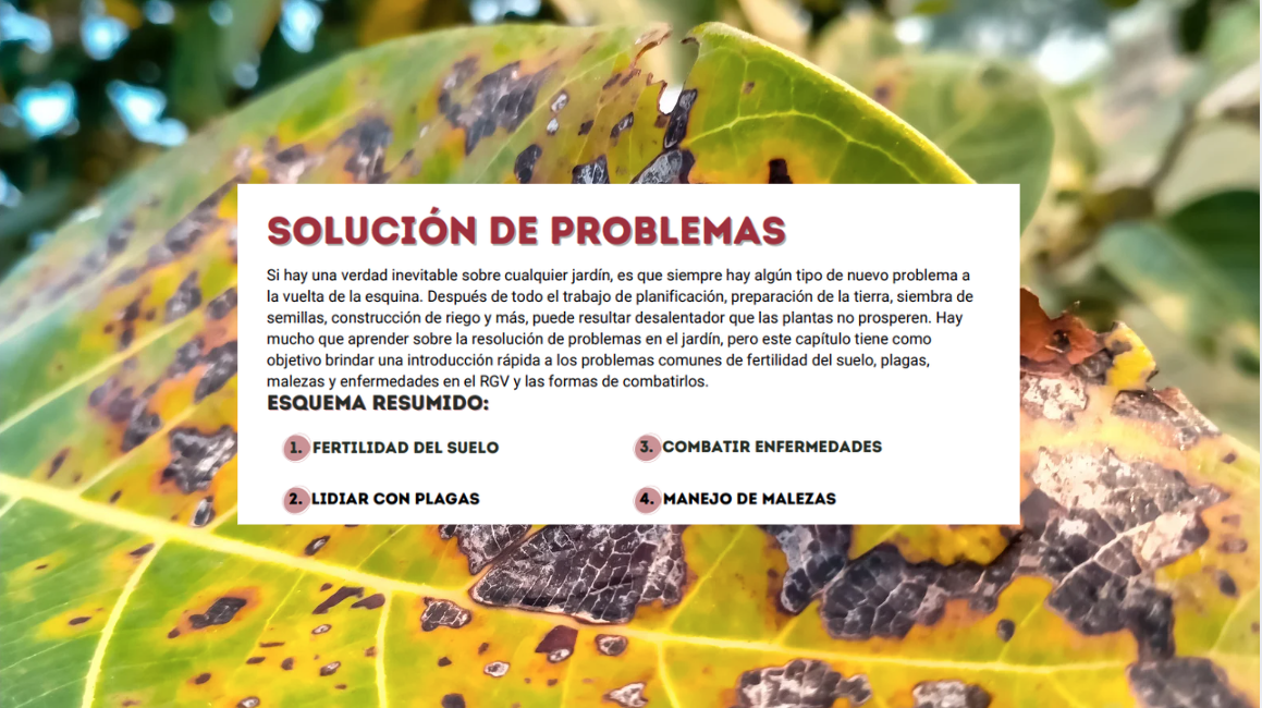 Solucion de problemas