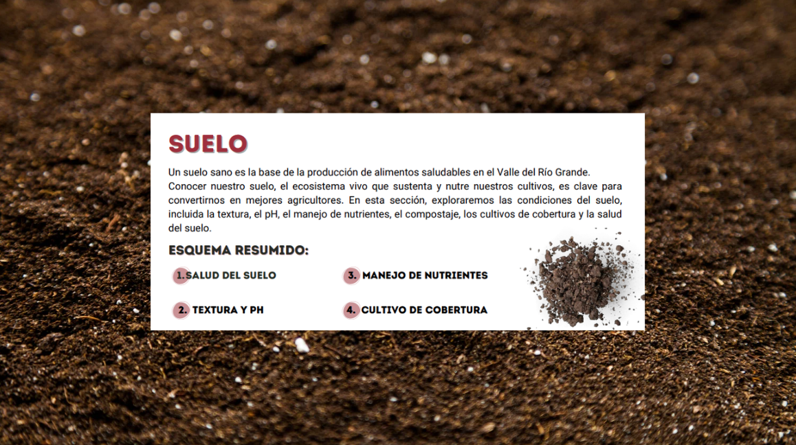 suelo%2Bcover.png