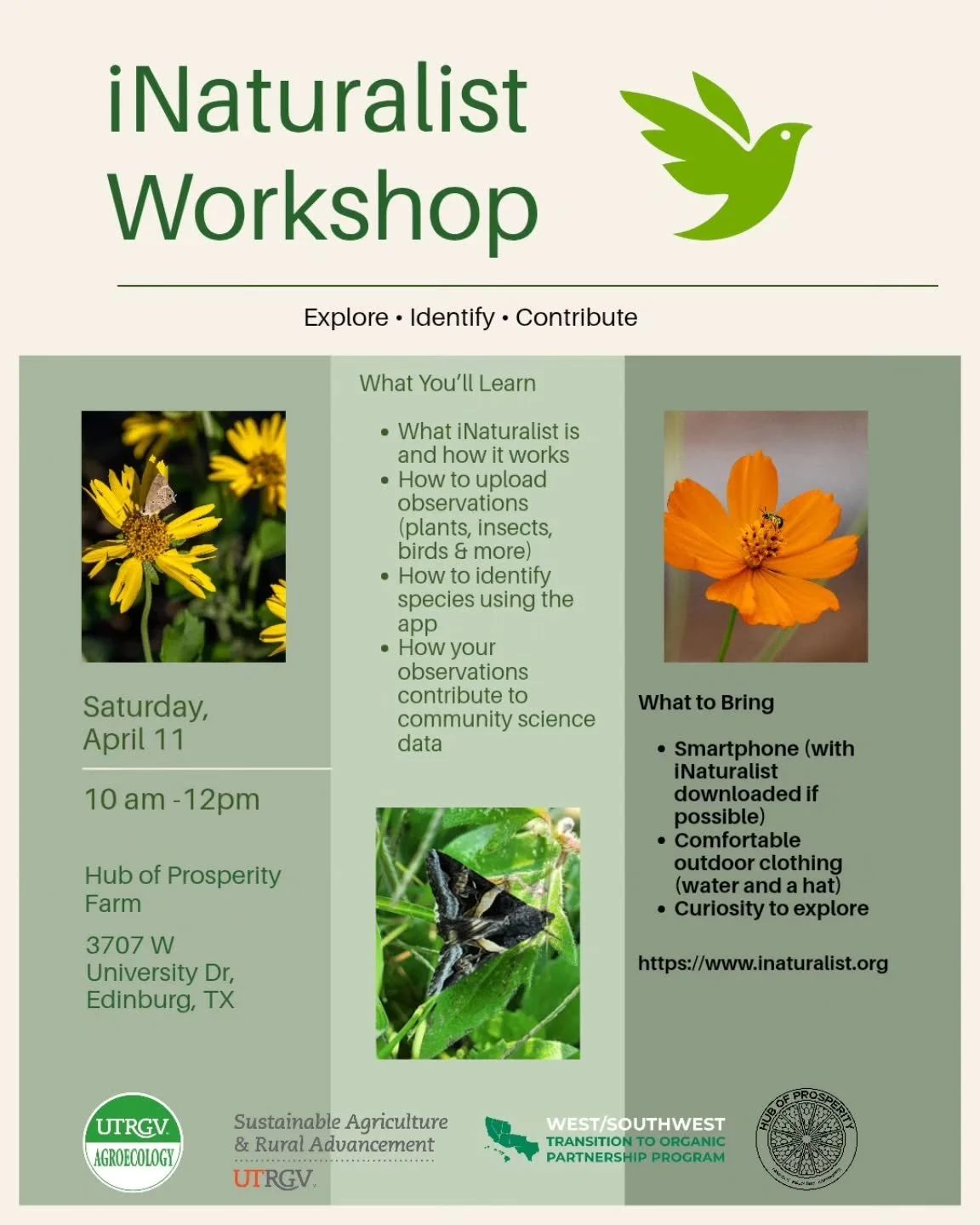 Whether you're new to iNaturalist or just curious, this hands-on session will walk you through how to explore, identify, and document plants, insects, birds, and more using your smartphone. You&rsquo;ll learn how your observations can contribute to r