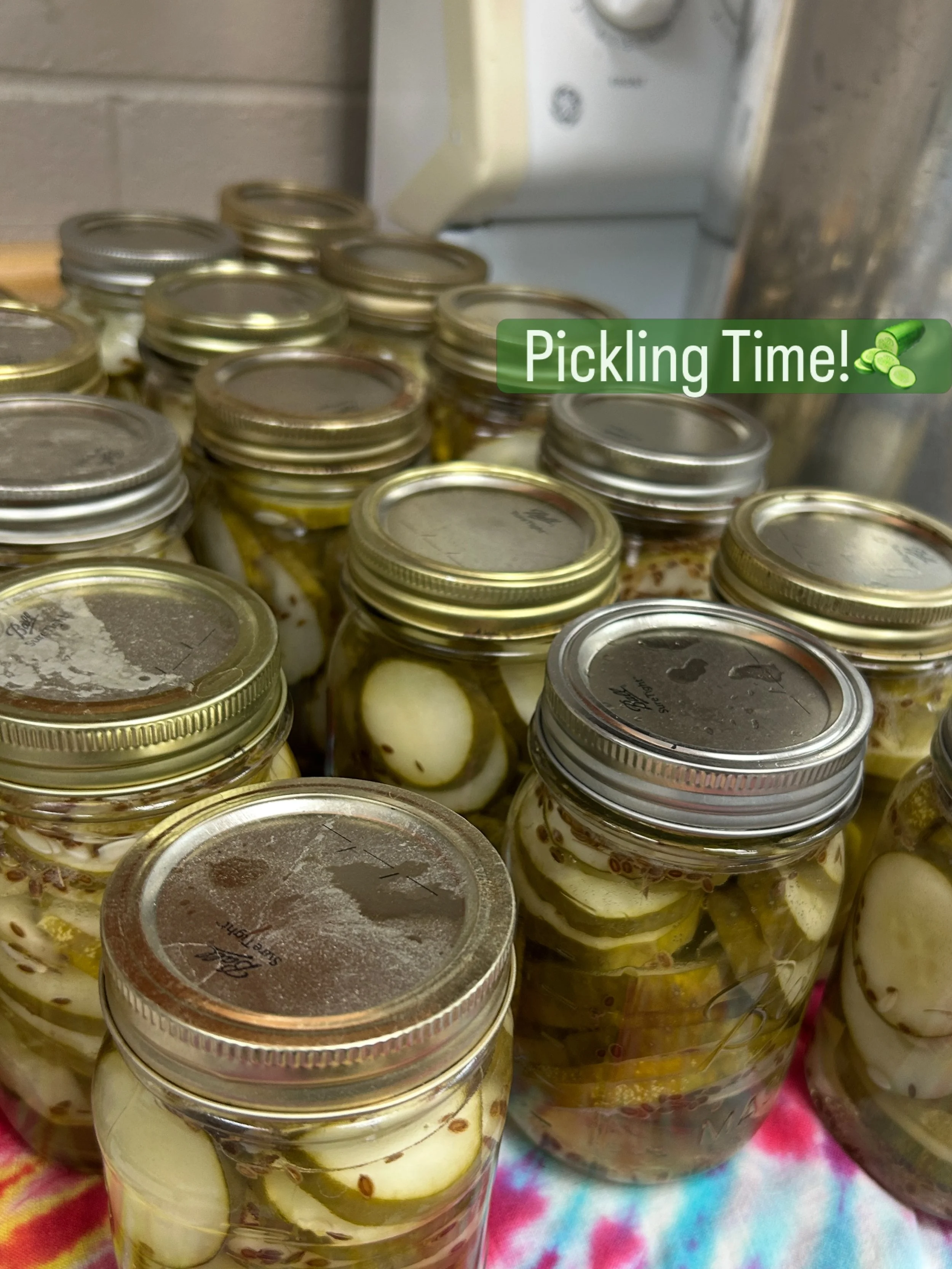In preparation for Tomato Fest🍅 and this weekend&rsquo;s Farmers Market, we&rsquo;ve been hard at work turning our farm grown cucumbers into delicious homemade pickles 🥒, which will be available for purchase at our Famer&rsquo;s Market! 

Follow al
