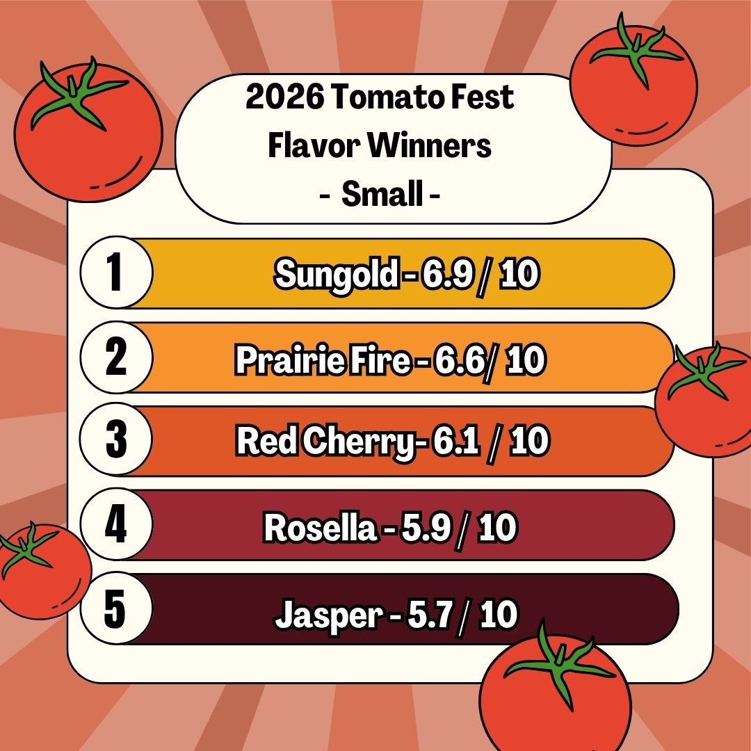 Tomato Fest Flavor Winners are in!! 🍅🥳
Here are the top 5 varieties by average score in both the small and large tomato categories.
Sungold reclaimed the top spot in the small tomato category with a score of 6.9/10. In the large tomato category, Vi