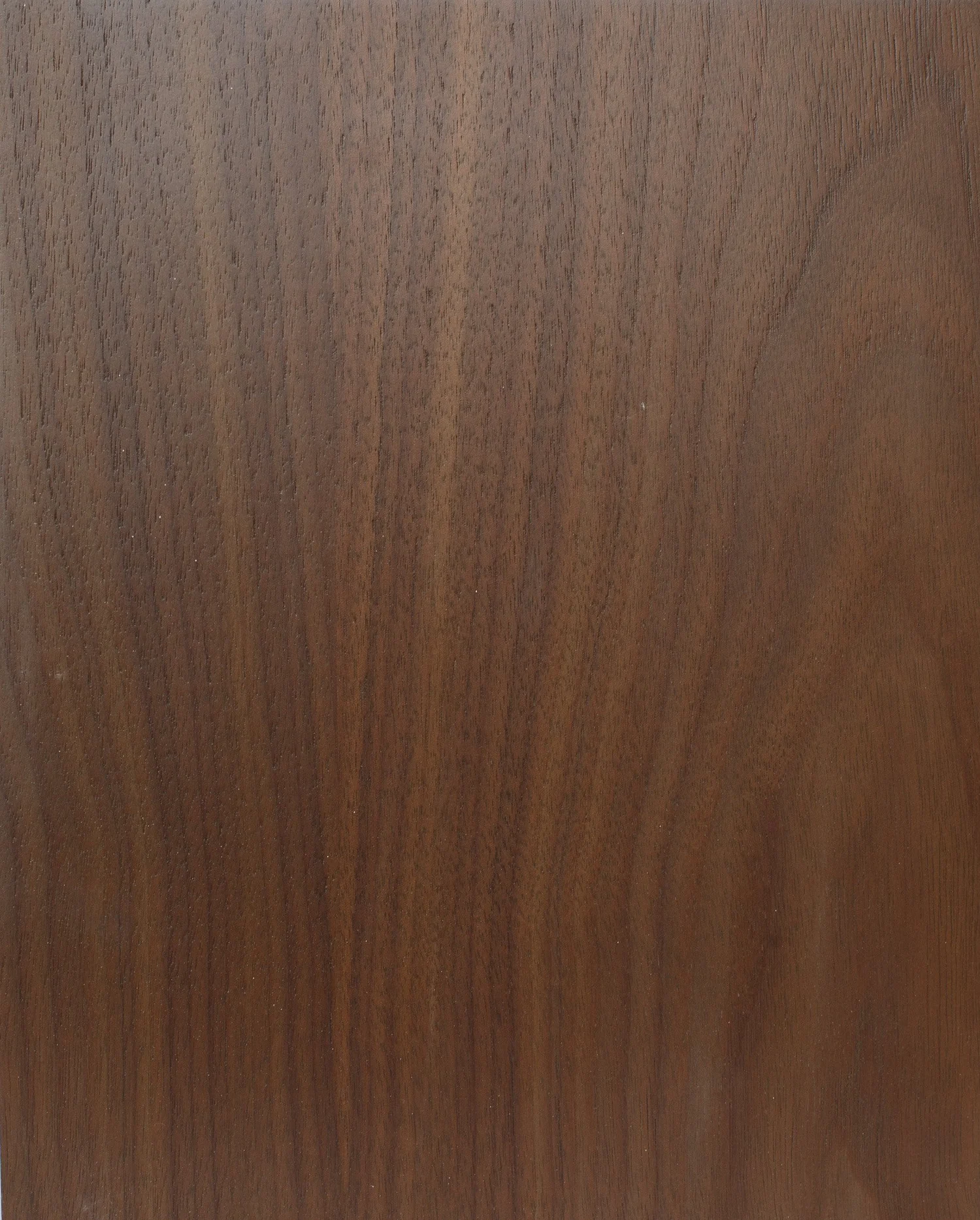 Matte Walnut Plain Slice Walnut - Custom Brown Finish — Bergan Architectural Woodworking