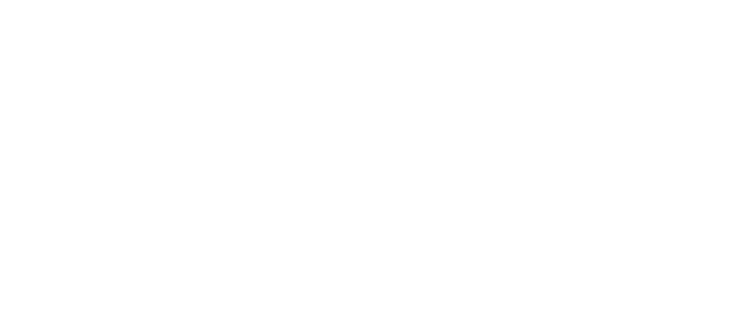 TWIN V