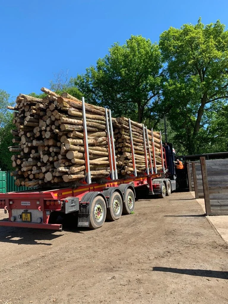 Log delivery business expansion — Surrey Specialist Tree Surgeon and ...
