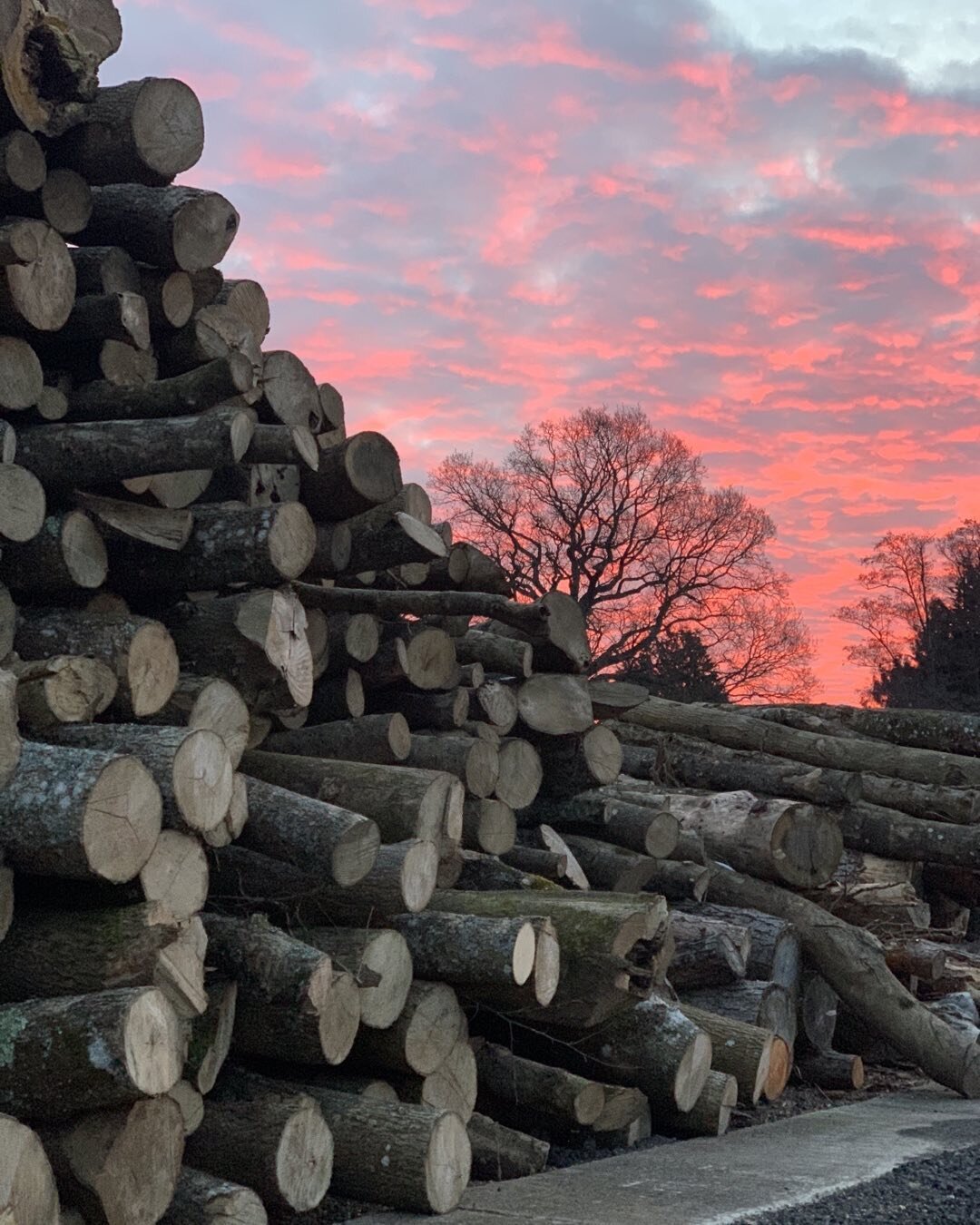 Beautiful morning for processing logs