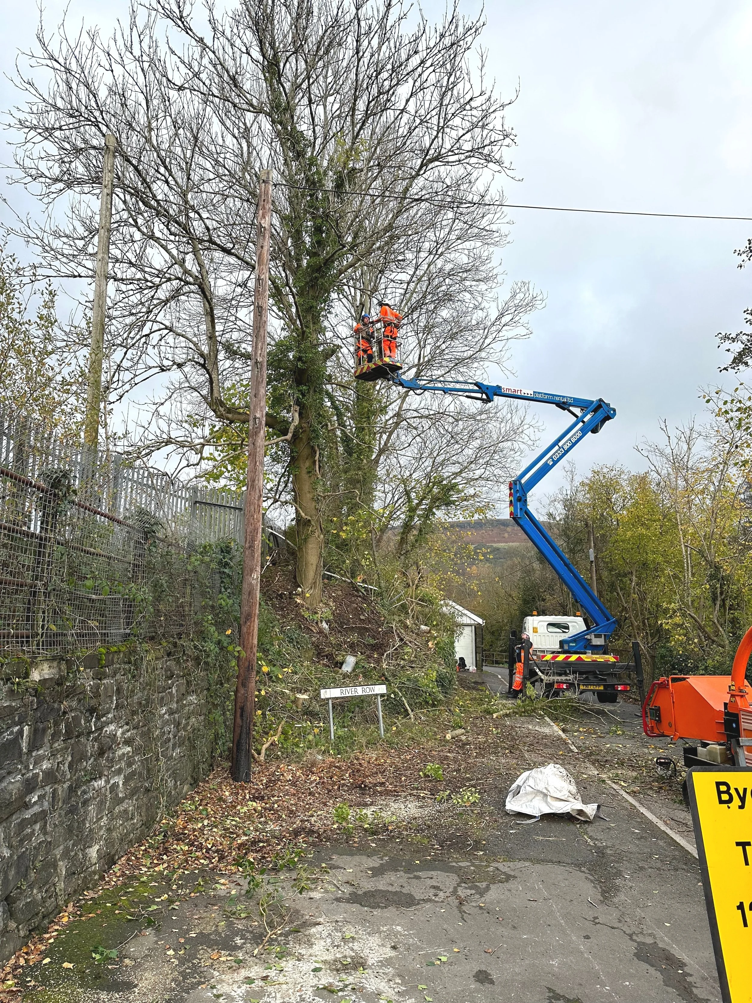Arboriculturalist on a MEWP.