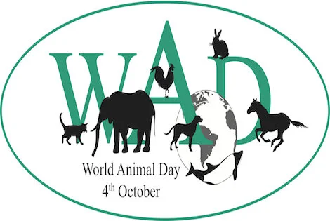 World Animal Day