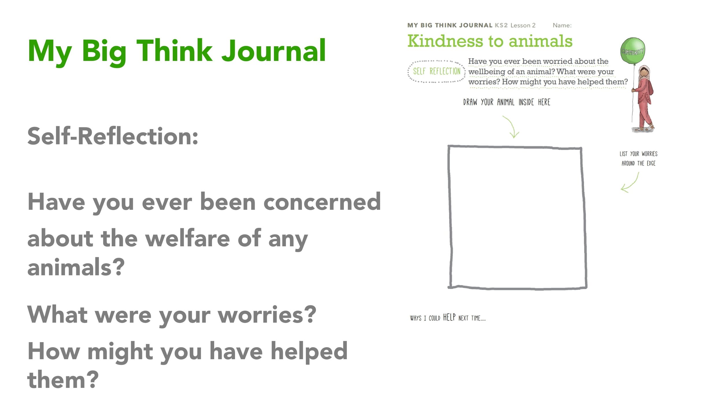 COMMUNITY L2 Kindness to Animals LESSON SCREENS KS2-13.jpg